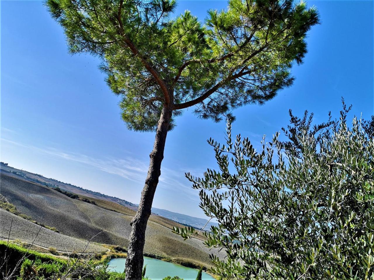 Villa Agriturismo Palazzo Conti - B Pienza Exterior foto