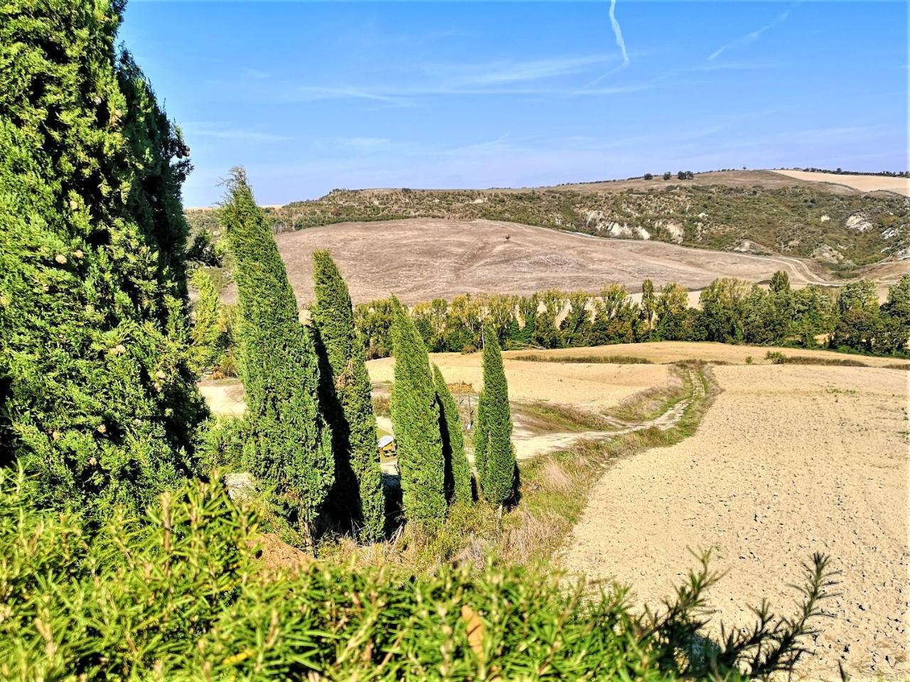 Villa Agriturismo Palazzo Conti - B Pienza Exterior foto